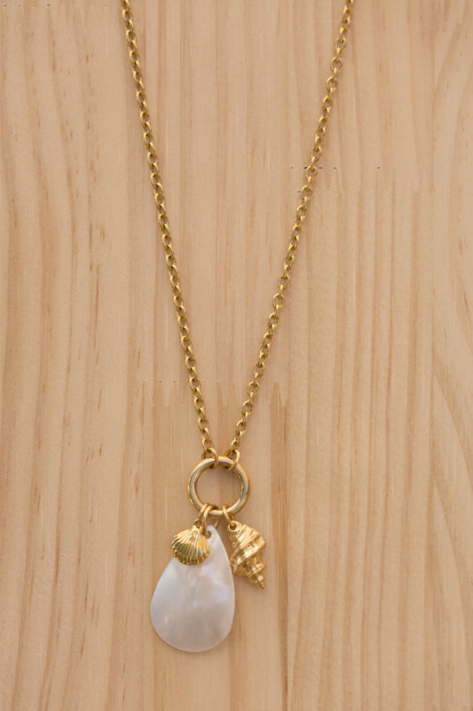 Collier • Shell